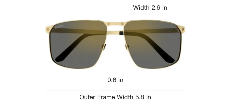 Cartier Santos De Cartier Sunglasses-3