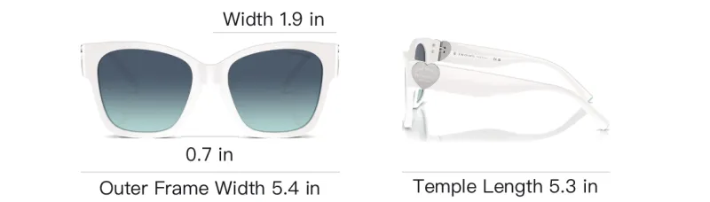 TIFFANY & CO. Cat eye Frame Sunglasses-5