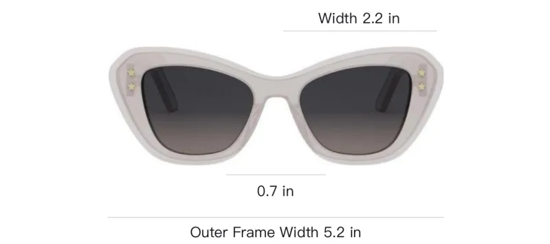 DIOR Butterfly Frame Sunglasses-3