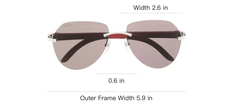 Cartier Tinted Pilot frame Sunglasses-2