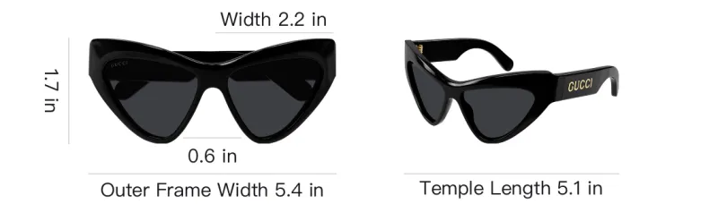GUCCI Cat Eye Sunglasses-2