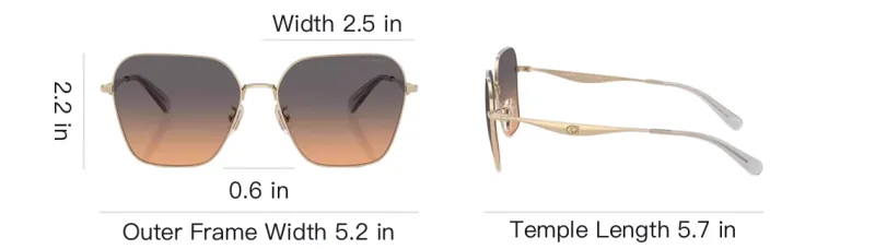 COACH Metal Irregular Shape Sunglasses Unisex Multicolor-3