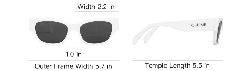 CELINE Monochroms 01 Sunglasses In Acetate-3