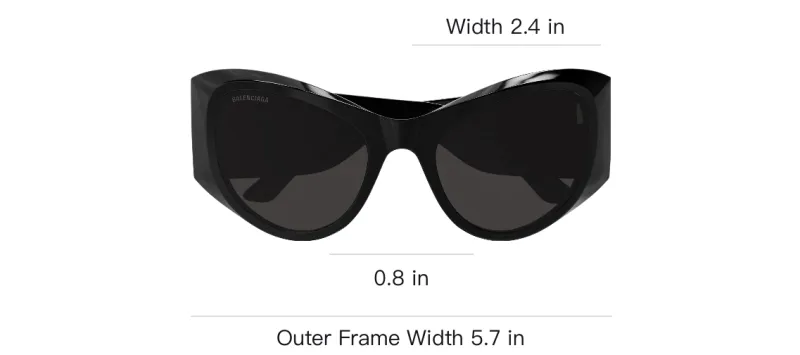 Balenciaga Butterfly Frame Sunglasses-2