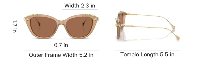 Swarovski Cat-Eye Sunglasses-4