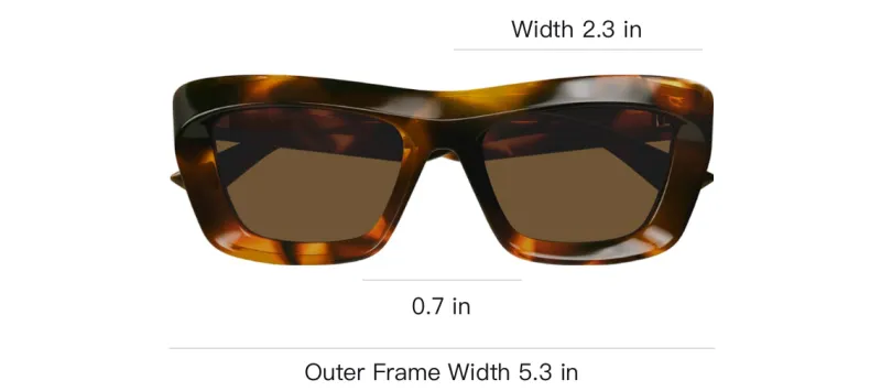 Bottega Veneta Classic Cat Eye Frame Sunglasses-2