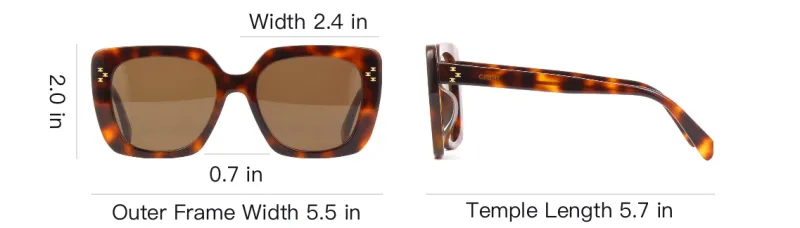 CELINE Square Sunglasses Women's Tortoiseshell-3