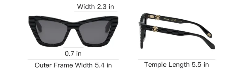 Roberto Cavalli Acetate Cat Eye Sunglasses Men's Black-3