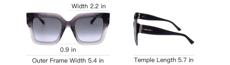 Jimmy Choo Elenigs Square Frame Sunglasses-2