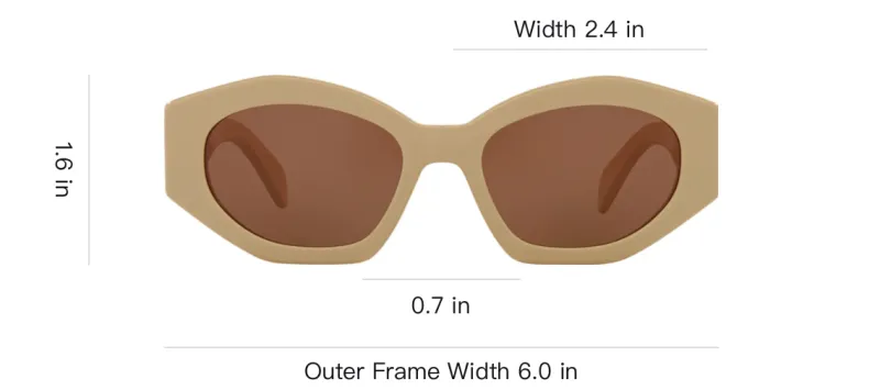 CELINE Acetate Irregular Shape Sunglasses Women's Brown-4