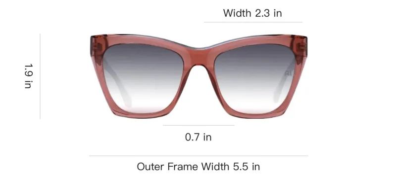 Ana Hickmann Acetate Butterfly Sunglasses Women's Brown-3