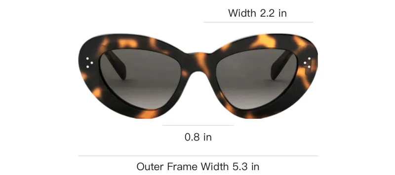 CELINE Cat Eye Sunglasses Men's Havana-2