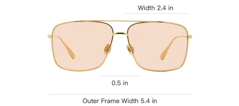 DIOR Aviator Eyeglass Frames Unisex-2