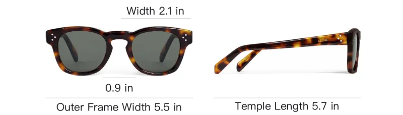 CELINE Black Frame 42 Sunglasses In Acetate-3