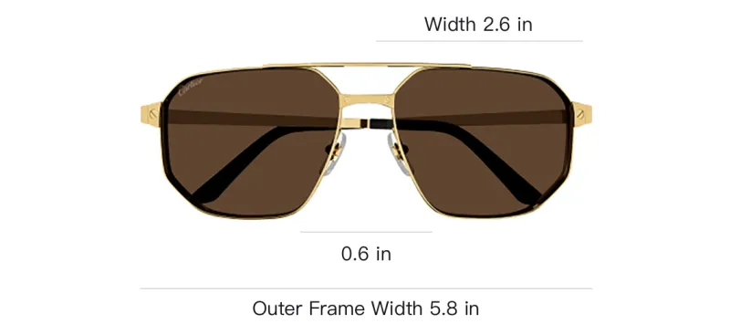 Cartier Santos De Cartier Pilot frame Sunglasses-3