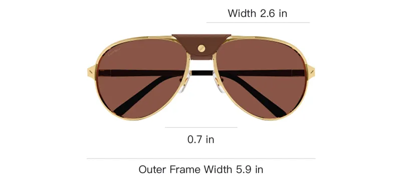 Cartier Aviator Frame Sunglasses-2