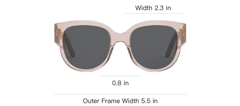 DIOR Acetate Round Sunglasses Unisex Pink-2