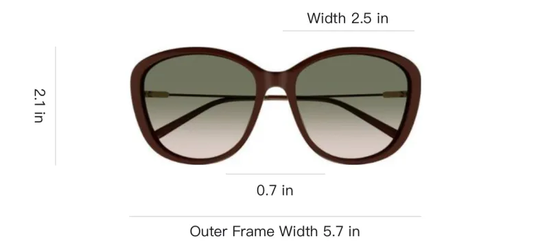 Chloe Plastic Oval Sunglasses Women's Dark Brown-2