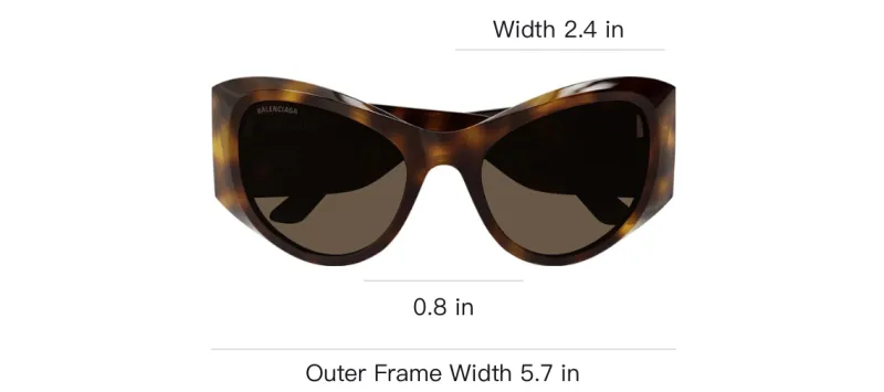 Balenciaga Butterfly Frame Sunglasses-2