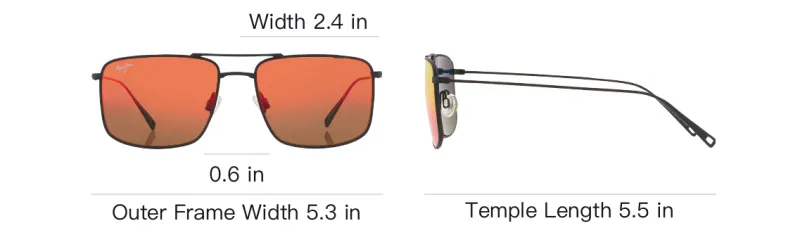 Black D-frame Sunglasses