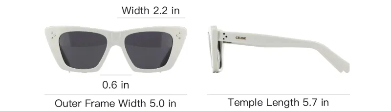 CELINE Cat-Eye Frame Sunglasses-3