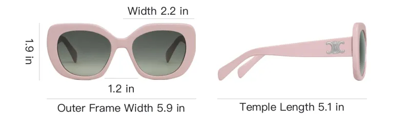 CELINE Triomphe 06 Sunglasses In Acetate-3
