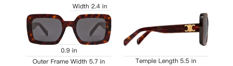 CELINE Triomphe 13 Sunglasses In Acetate-3