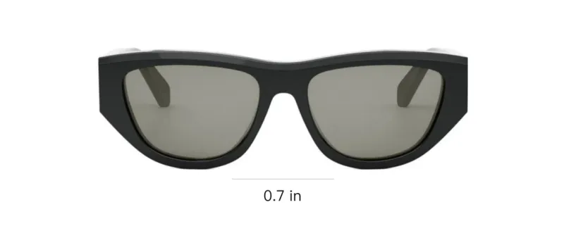CELINE Cat Eye Frame Sunglasses-2