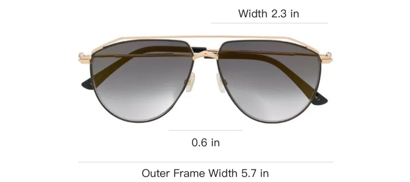Jimmy Choo Lexs Pilot frame Sunglasses-2