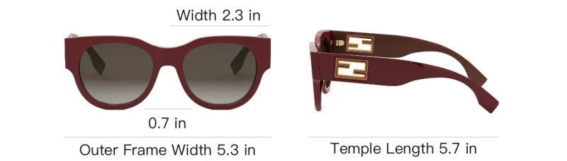 FENDI Round Frame Sunglasses-3