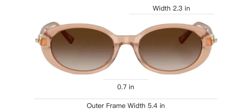 TIFFANY & CO. Oval frame Sunglasses-5