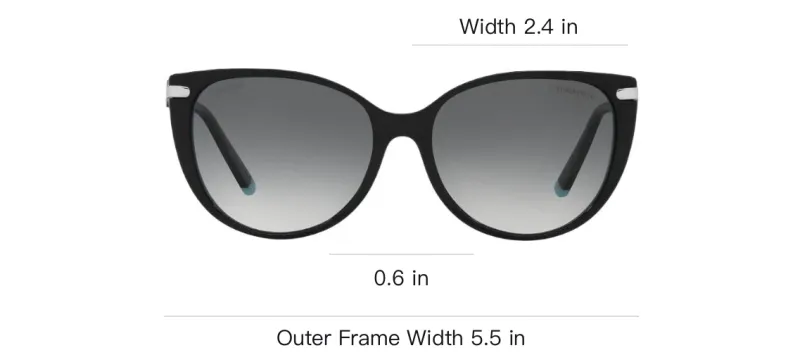 TIFFANY & CO. Tiffany T Cat eye Sunglasses-3