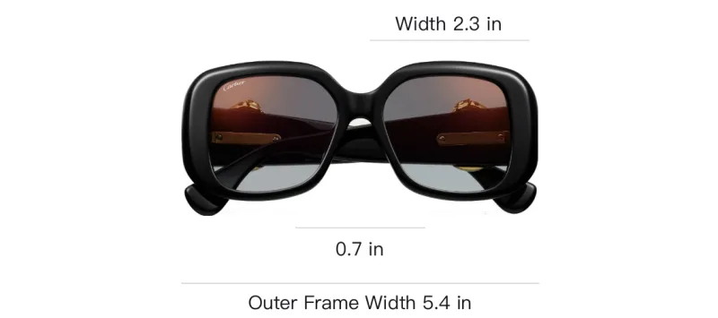 CARTIER Metal Plate Irregular Shape Sunglasses Unisex Black-3