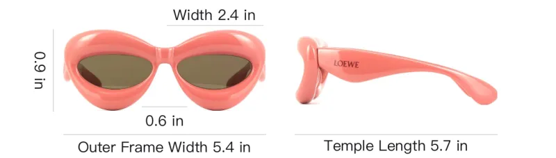 LOEWE Cat Eye Injection Sunglasses-3