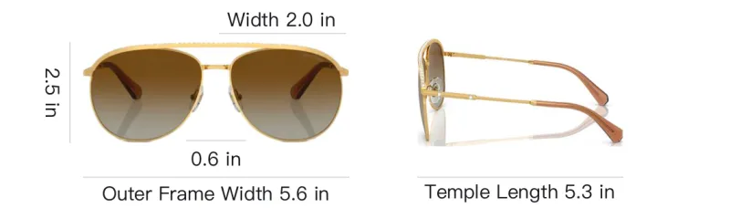 Swarovski Aviator Frame Sunglasses-4