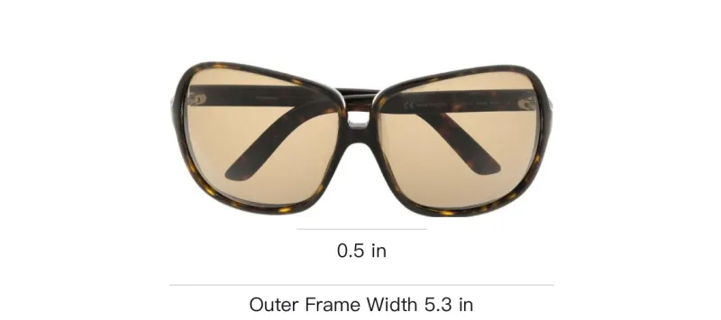 SAINT LAURENT 2000s Oversized Tinted Sunglasses-2