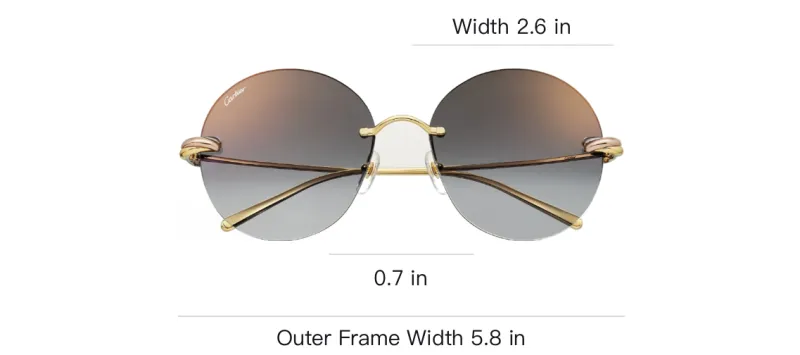 CARTIER Metal Round Sunglasses Unisex Gold-3