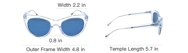 Oliver Peoples Acetate Cat Eye Sunglasses Women's Transparent-4