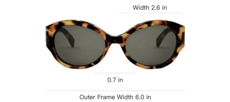 CELINE Oval Frame Sunglasses-2