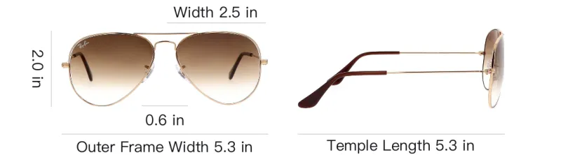 RayBan Aviator Sunglasses-3