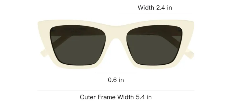 SAINT LAURENT Cat Eye Frame Sunglasses-2