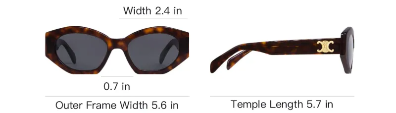CELINE Diagonal Sunglasses-3