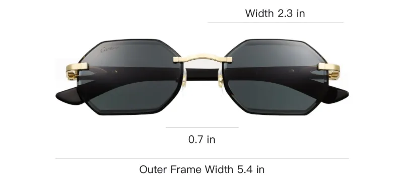 CARTIER Horn Irregular Shape Sunglasses Unisex Black-3