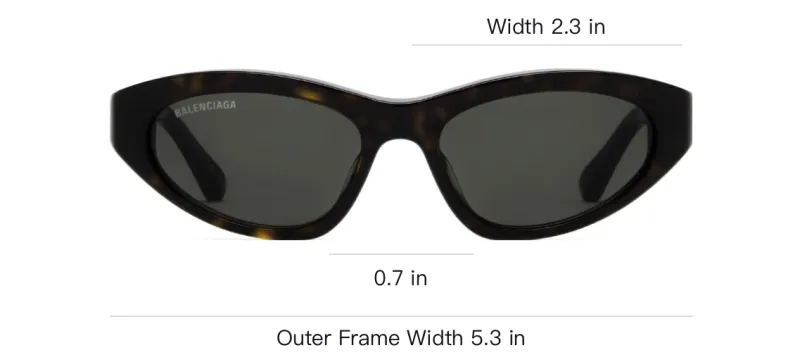 Balenciaga Sunglasses-5