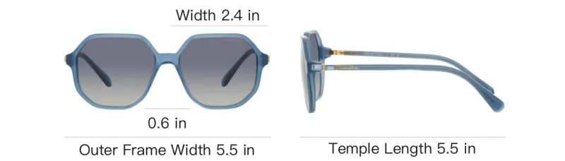 Swarovski Metal Acetyl Irregular Shape Sunglasses Unisex Blue-6
