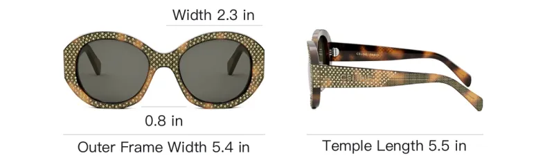 CELINE Round Frame Sunglasses-3