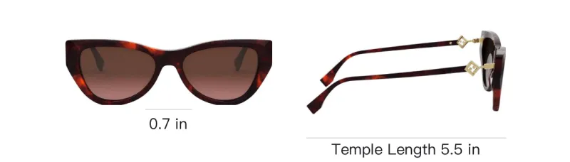 FENDI Acetate Cat Eye Sunglasses Women's Tortoiseshell-3