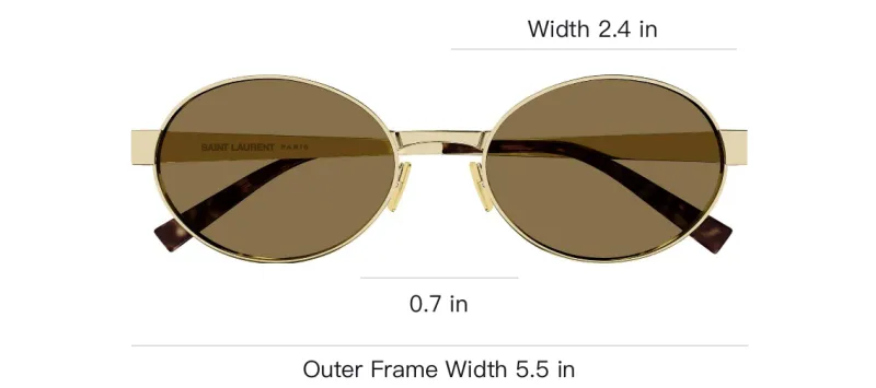 SAINT LAURENT Oval Frame Sunglasses-3