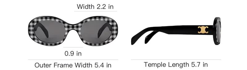 CELINE Triomphe 01 Sunglasses In Acetate-3