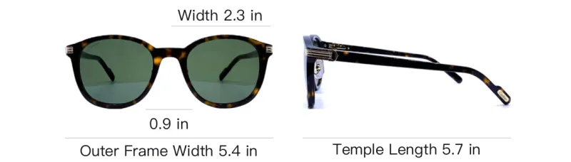 CARTIER Acetate Irregular Shape Sunglasses Unisex Tortoiseshell-9
